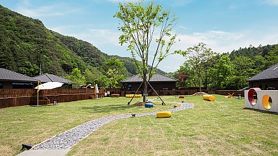애견 공용 운동장